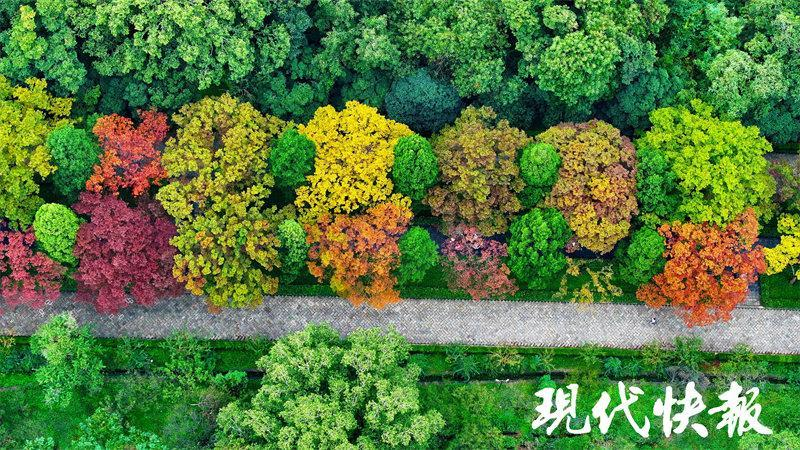 无锡队, 江苏夏秋季, src